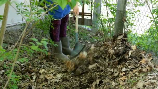 Εποχιακή Οικιακή Εργασία Του Τοπίου Καθαριότητα Κήπου Κηπουρός Που Μαζεύει — Αρχείο Βίντεο
