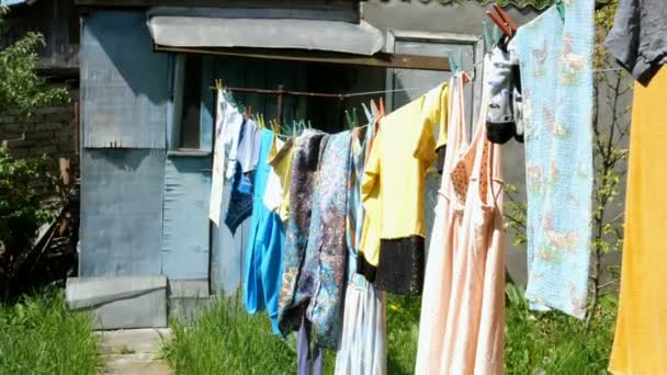 在家工作 洗了休闲服和不同的亚麻布 挂在后院的晾衣绳上 旁边是村里的棚子 — 图库视频影像