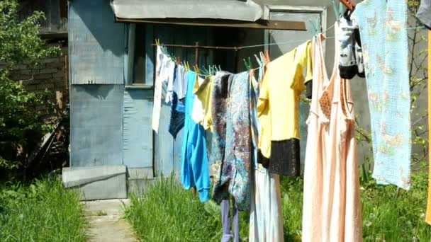 在家工作 洗了休闲服和不同的亚麻布 挂在后院的晾衣绳上 旁边是村里的棚子 — 图库视频影像