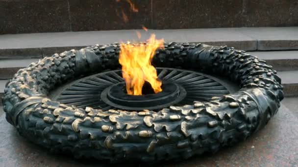戦争の記念碑オデッサ市の大祖国戦争中に死亡した未知の船員への記念碑の永遠の炎 ランジェロンは位置しています — ストック動画
