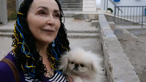高级妇女白种族人抱着她的狗在她的怀里 白色的北京人 和一些钦佩地告诉 — 图库视频影像