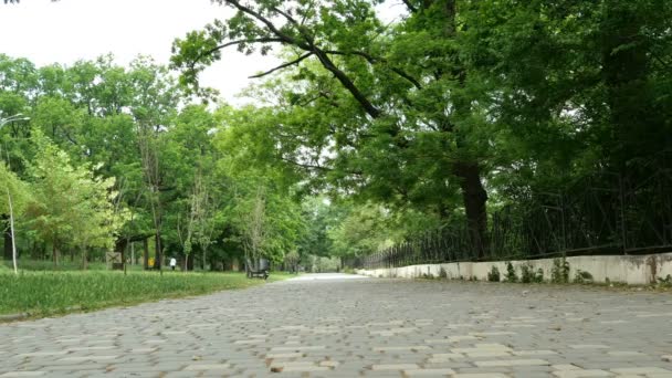 木々の間にウクライナのオデッサの都市の都市公園の空の路地 右側は金属製のフェンスで囲われています 一般的な静的計画 — ストック動画
