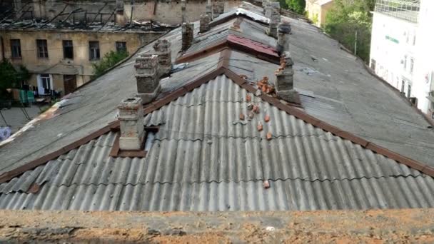 煙突と古い屋根だけでなく ウクライナのオデッサの街の古い家の火災によって破壊された屋根 悪い生活環境 貧しい人々を収容するクローズ アップ — ストック動画