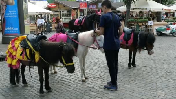 Odessa Ukraine May 2019 Decorated Ponies Stand Deribasovskaya Street City — Stock Video