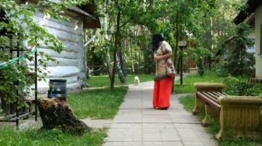 Orta yaşlı şık kadın beyaz Pekinköpeği ile parkta yürüyor. Kadın devam ediyor ve köpek koşuyor ve onu yakalıyor. İnsan ve köpek dostluğu.