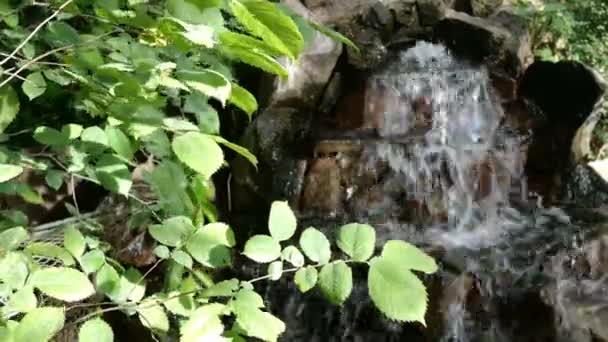 Mała Ozdobna Fontanna Lub Wodospad Kamieni Płynie Dekoracyjnego Stawu Ogrodzie — Wideo stockowe