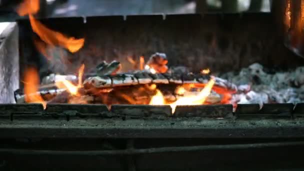 バーベキューグリルで燃える薪と石炭 クローズ アップ — ストック動画