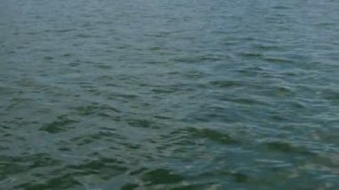 Karadeniz'de dalgalı dalgalar ile sakin deniz dalgası. Güneş yansıması. Doğal deniz geçmişi. Close.