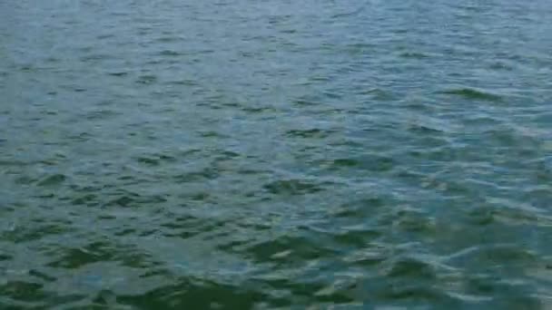 Ola Mar Tranquila Con Ondulaciones Que Corren Mar Negro Reflejo — Vídeo de stock