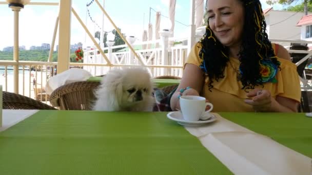 シニア女性は彼女の愛らしいペットと一緒に座っている 風の強い天候でコーヒーのカップのための夏の屋外カフェで白い犬北京人 — ストック動画