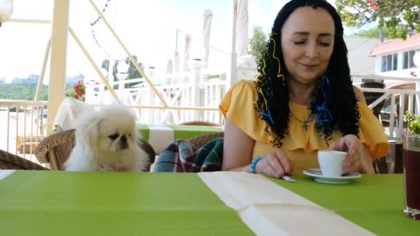 Mujer Mayor Sienta Con Adorable Mascota Perro Blanco Pekinés Café — Vídeos de Stock