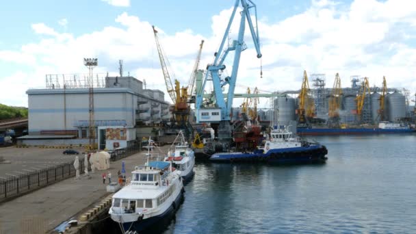 Odessa Ukraine May 2019 Marine Port Cranes Industrial Zone Cargo — Stock Video