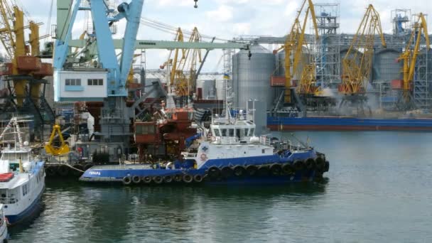 Odessa Ucrania Mayo 2019 Grúas Portuarias Marinas Zona Industrial Frente — Vídeo de stock