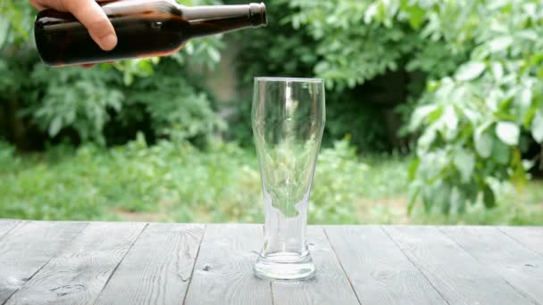 Pouring Process Light Beer Tall Glass Bottle Dark Glass Summer — Stock Video