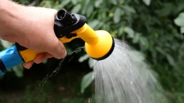 Yaz bahçe. Bahçe sulama veya püskürtücü ile bahçede el sulama tesisleri. Close.