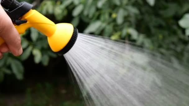 Gartenarbeit Sommer Handbewässerung Von Pflanzen Garten Mit Gartengießkanne Oder Sprühgerät — Stockvideo