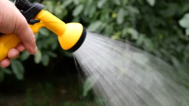 夏のガーデニング 庭の水やり缶や噴霧器と庭で水やり植物を手 クローズ アップ — ストック動画
