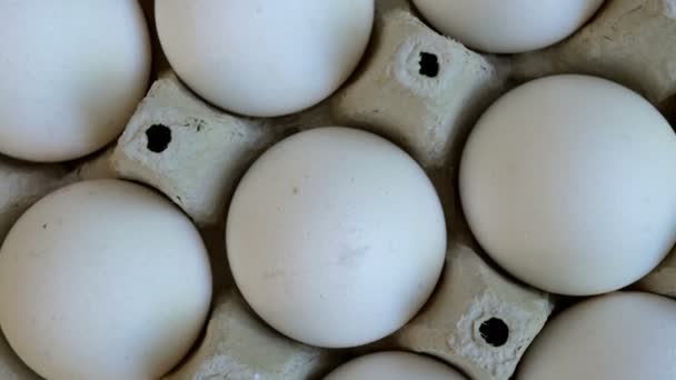 Los Huevos Pollo Blanco Son Frescos Apilados Envases Cartón Ecológico — Vídeos de Stock