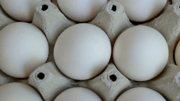 Beyaz Tavuk Yumurtaları Taze Ekolojik Karton Ambalaj Yığılmış Yemek Geçmişi — Stok video