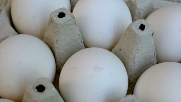 Fehér Csirke Tojás Friss Halmozott Ökológiai Karton Csomagolás Élelmiszer Háttér — Stock videók