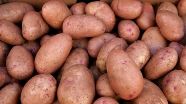시장에서 감자와 쇼케이스 클로즈업 가게의 도시의 거리에서 자발적인 — 비디오
