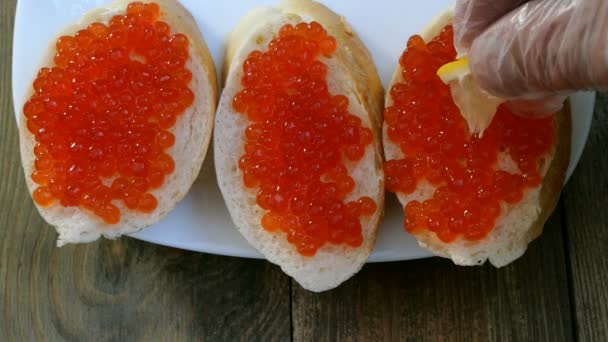 Preparación de sándwiches con caviar rojo. El caviar de salmón rojo se unta con un cuchillo de cocina en una rebanada de pan blanco. Deliciosas delicias culinarias. Comida de lujo caro . — Vídeos de Stock