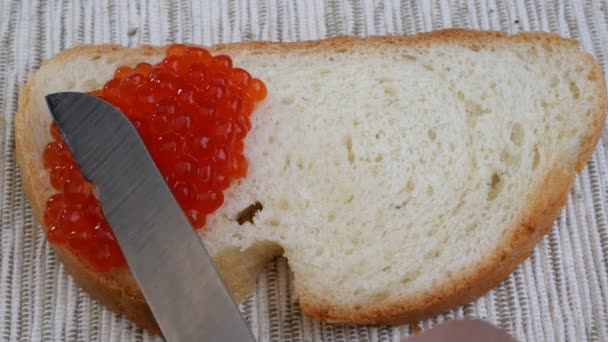 Preparación de sándwiches con caviar rojo. El caviar de salmón rojo se unta con un cuchillo de cocina en una rebanada de pan blanco. Deliciosas delicias culinarias. Comida de lujo caro . — Vídeo de stock