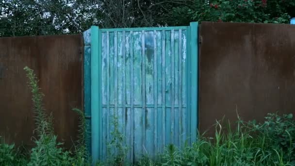 Zavřené, travně pokryté modré dveře nebo branku v plotě na venkově. Opuštěná brána. Venkovská scéna. Neobydlené místo. — Stock video