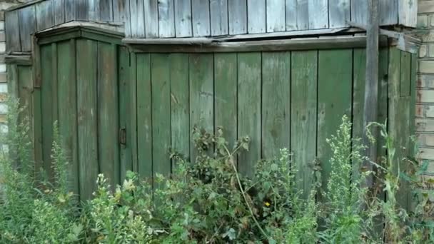 Gesloten, met gras bedekte deuren of Wicket in hout groen hek op het platteland. Verlaten poort. Landelijke scène. Onbewoonde plaats. — Stockvideo