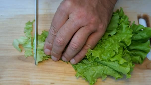 Hausmannskost. Menschliche Hände schneiden frische Salatblätter mit einem scharfen Küchenmesser auf einer Holzoberfläche zum Kochen. — Stockvideo