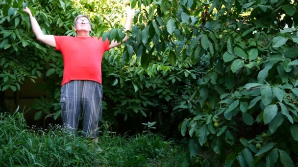 Senior man i casual kläder, kanske en pensionär, gör övningar eller gymnastik på bakgården eller i trädgården. Använd som en hälsosam livsstil för medelålders människor. — Stockvideo