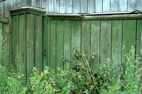 Closed, grass-covered doors or wicket in wood green fence in the — Stock Photo, Image