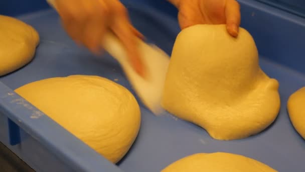 Женские Руки Месят Тесто Приготовления Пиццы Кухне Выборочный Фокус Концепция — стоковое видео