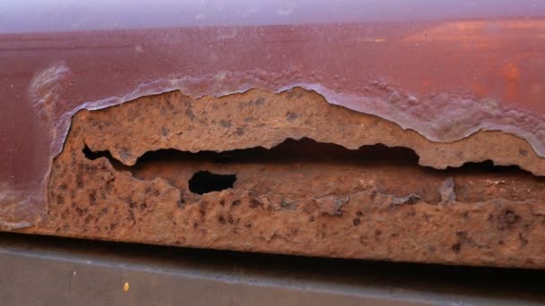 Part of an old rusted piece of metal, possibly a car hood with rust, holes and peeling paint. — Stock Video