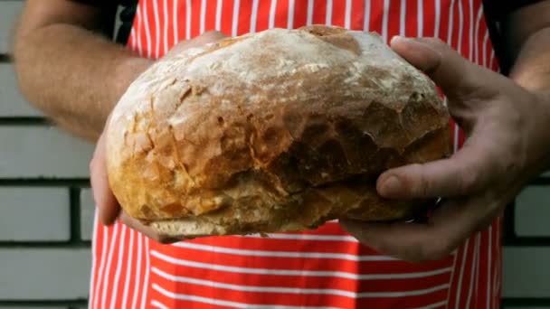 Ręce kucharza rasy kaukaskiej etnicznej, przytrzymaj i złamać duży apetyczny chleb z chrupiącą pieczoną skorupą. Selektywna koncentracja. — Wideo stockowe