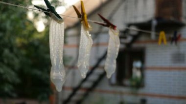 Şeffaf lateks prezervatif evin arka bahçesinde clothesline asmak, clothespins ile bağlı ve hafif esinti salıncak. Belki de tekrar kullanılmak üzere yıkandılar. Açık havada.