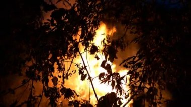 Bölgede gece saatlerinde yanan alevler ve dumanlar havaya yükseliyor. Ağaçlar siluetleri. Alevler çevreyi aydınlatıyor. Açık havada. Close.
