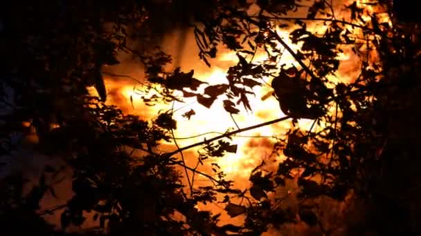 Zona Incendios Forestales Ardiendo Por Noche Con Mucho Humo Elevándose — Vídeo de stock