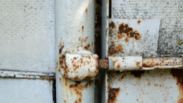 Старые Металлические Ворота Клапана Металлических Дверях Толкают Открывают Дверь Концепция — стоковое видео