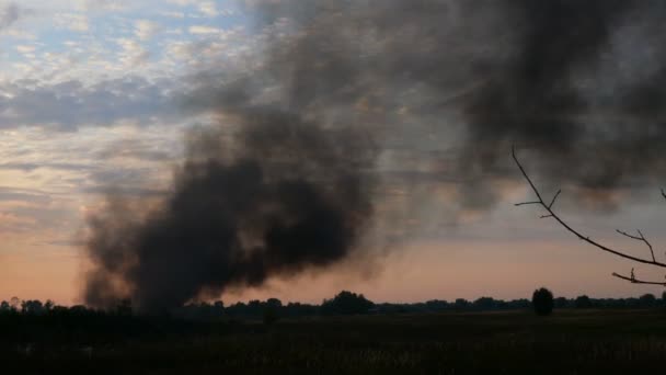 Sloup Černého Kouře Obloze Nad Polem Nebo Loukou Tohle Oheň — Stock video