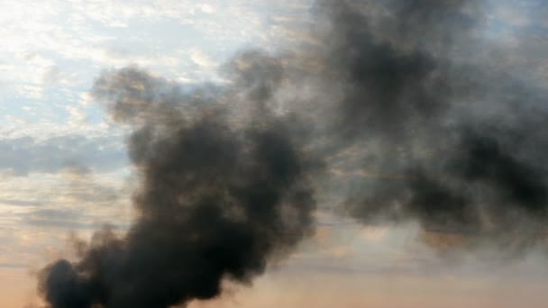 Sloup Černého Dýmu Obloze Tohle Oheň Hoří Zemědělské Trosky Továrna — Stock video