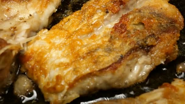 Cuisine maison. La carpe de poisson de rivière, coupée en morceaux, est frite dans une poêle à l'huile de cuisson. Gros plan . — Video