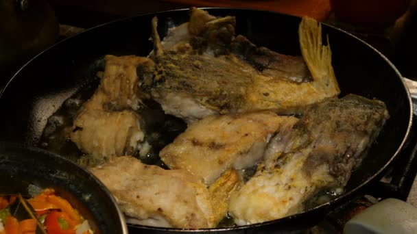 Cuisine maison. La carpe de poisson de rivière, coupée en morceaux, est frite dans une poêle à l'huile de cuisson. Gros plan . — Video