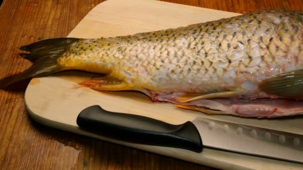 Cuisine maison. Épluché sans écorce grande carpe de poisson de rivière et un couteau de cuisine reposent sur une planche à découper sur la table de cuisine. En mouvement. Gros plan . — Video