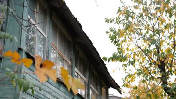 Verlassenes Verfallenes Altes Holzhaus Fenster Und Wand Mit Beschädigtem Alten — Stockvideo