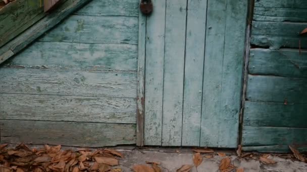 被遗弃 被毁的旧木屋 楼梯和门 有枯叶和风化油漆的溪流 — 图库视频影像