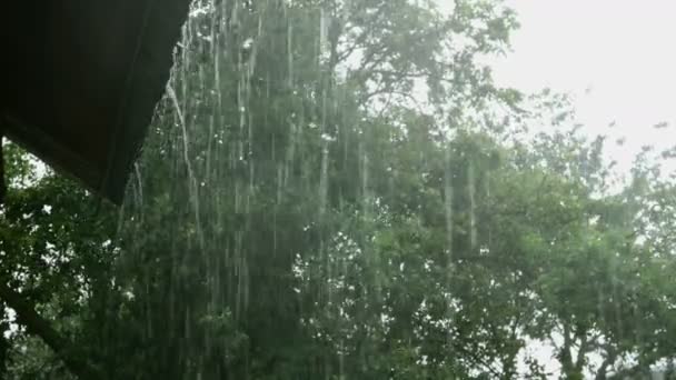 Strong stream jets of rainwater flow down from roof of residential building during thunderstorm or storm in backyard of a residential house. Close-up. — Stock Video