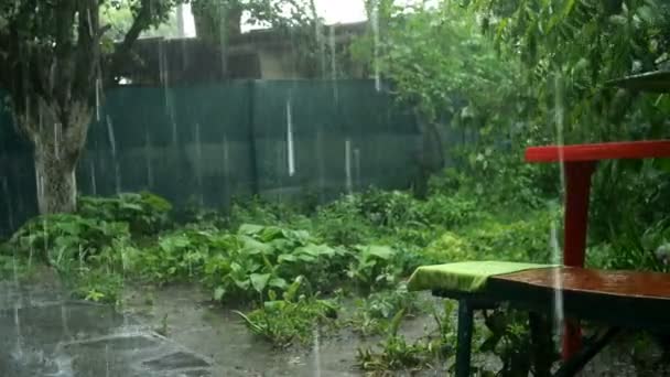 Silný proud dešťové vody padá na trávu, půdu a okrasné rostliny v zahradě nebo na dvorku obytné budovy. Střední plán. — Stock video