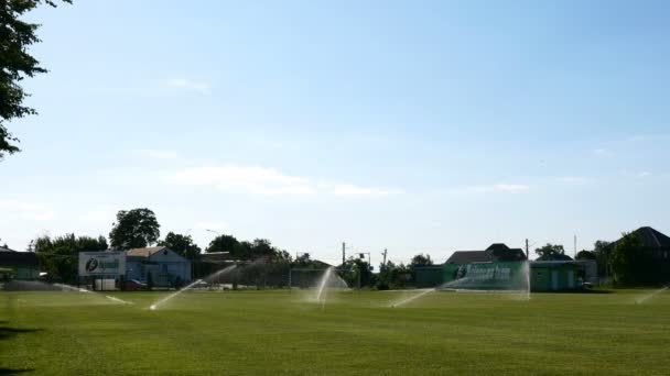 Kiev, Ukraina, juni 2020: - Gräs bevattning sprinkler på grön gräsmatta. Automatisk bevattningssystem som arbetar på grön gräsmatta i parken eller gröna spelplan. Övergripande plan. — Stockvideo