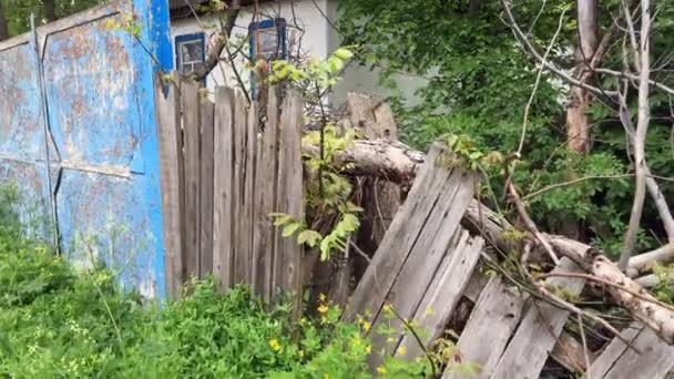 灰色のタイル張りの屋根と粗い木製のフェンスと古い放棄された家は 村や田舎の茂みで生い茂った 日常生活の概念 中期計画 — ストック動画
